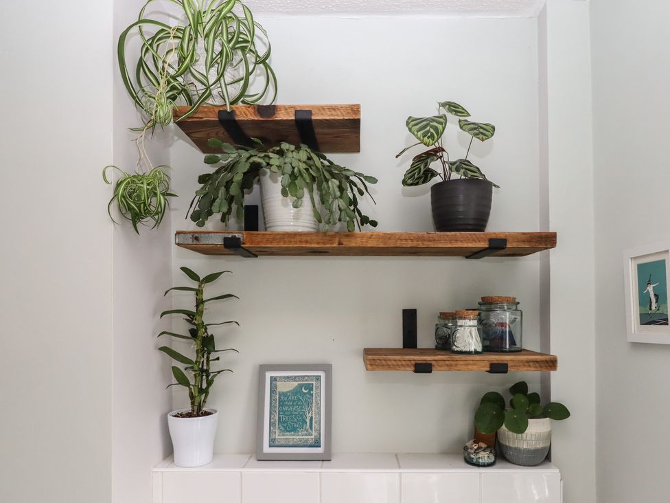 A shelving unit with plants and jars at Petitor Mews