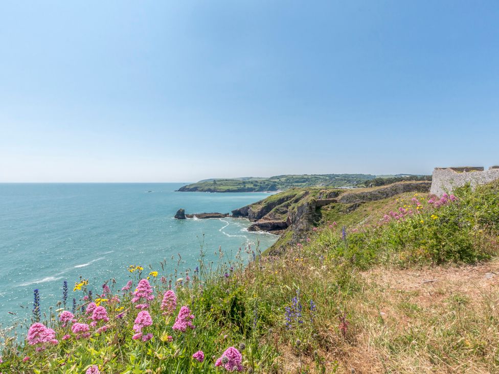 A coastline view with flowers and cliffs at Caravan C31 at Landscove Holiday Park Brixham