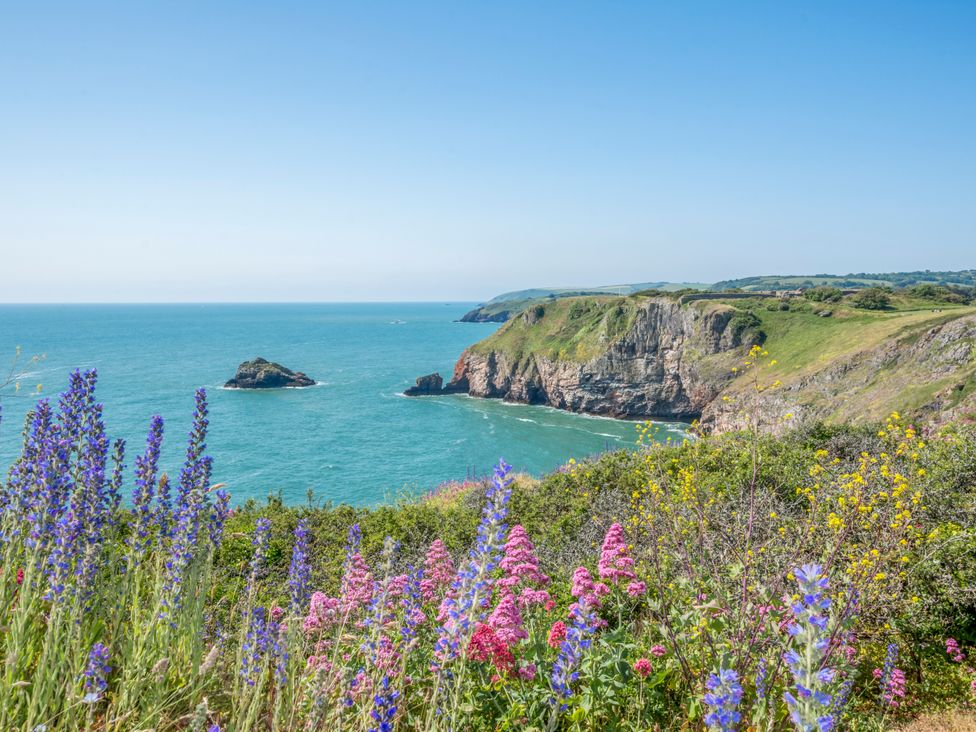 Caravan C32 at Landscove Holiday Park - Devon - 1194142 - thumbnail photo 10