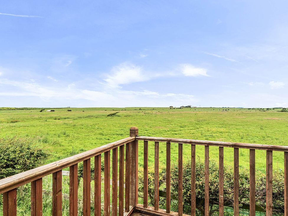 A view of a green field with cows and a wooden fence at Bank House Cottage Glasson Dock
