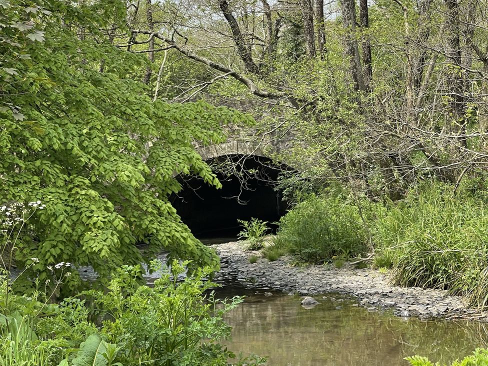 Meadow View - Cornwall - 1194153 - thumbnail photo 27