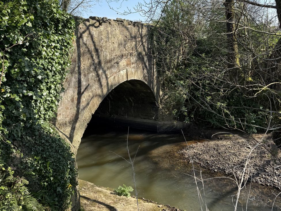 A bridge over a river surrounded by trees and ivy at Bryar in Widemouth Bay