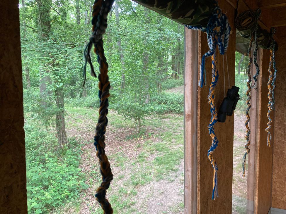 A view of ropes and binoculars from a wooded area at The Tree House in the Woods Longhope