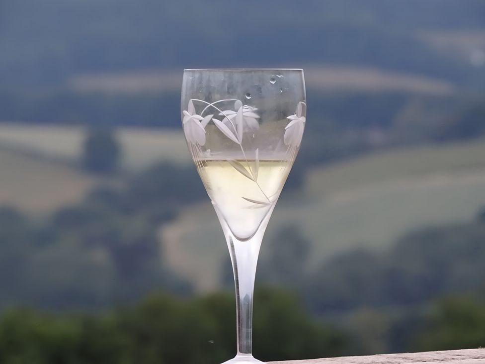 A glass of white wine with an outdoor view at The Tree House in the Woods Longhope