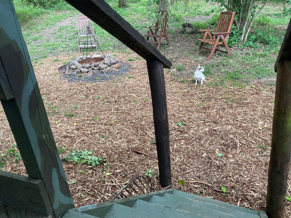 The Tree House in the Woods - Cotswolds - 1194161 - thumbnail photo 15