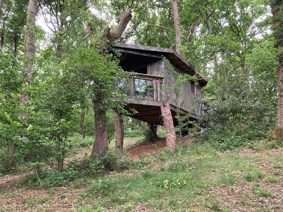 The Tree House in the Woods - Cotswolds - 1194161 - thumbnail photo 23