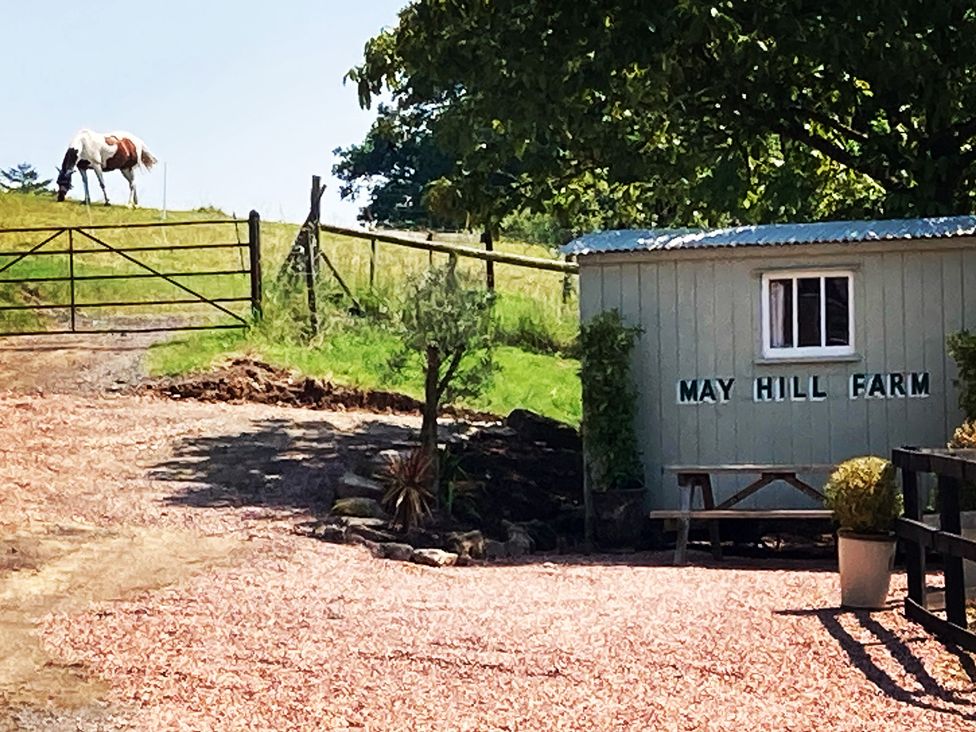 An outdoor scene with a horse near a gate at May Hill Farm in Longhope