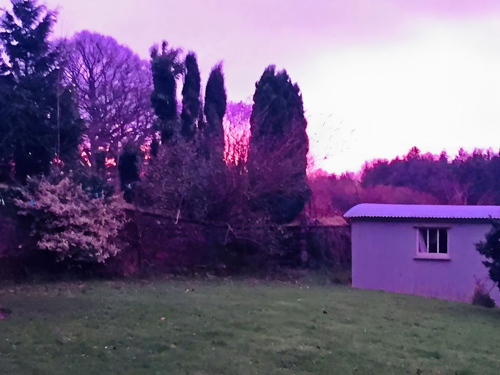 A garden with trees and a shed at Cosy Shepherd’s Hut Longhope