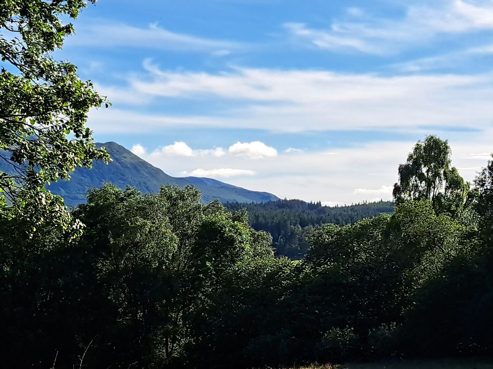 View of mountains and trees at The Posh Bothy in Roy Bridge