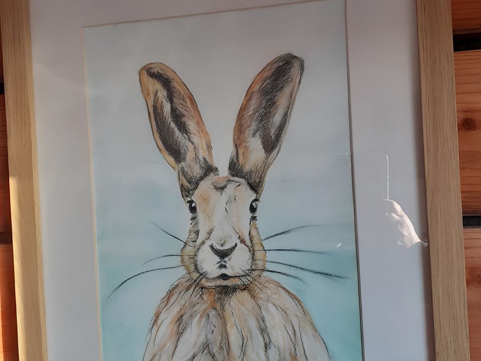 A framed drawing of a rabbit at The Posh Bothy 2 in Roy Bridge
