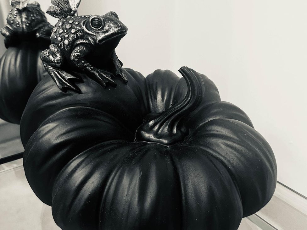 A decorative frog on a black pumpkin at Apartment 2 Preston, Lancashire