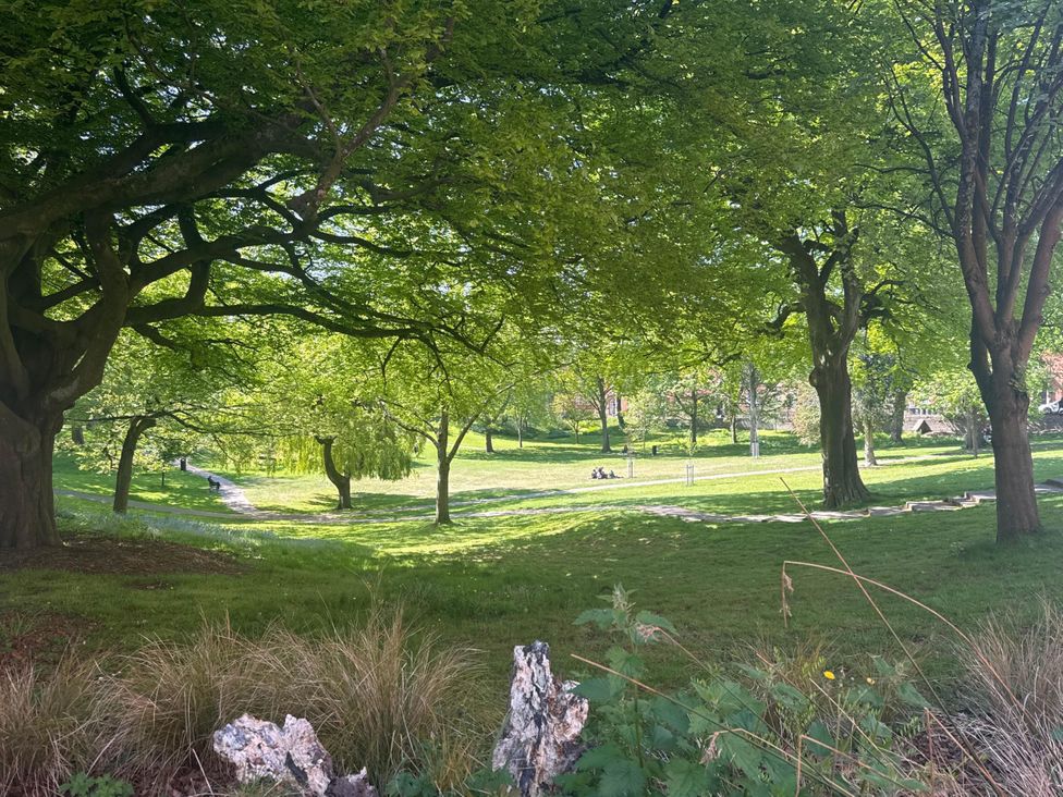 A view of a park with trees and a pathway in Preston, Lancashire