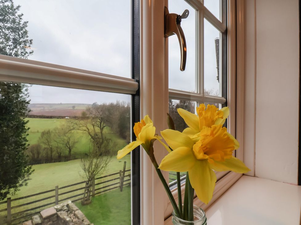 A window with daffodil flowers in a jar at 4 Lilac Cottages 