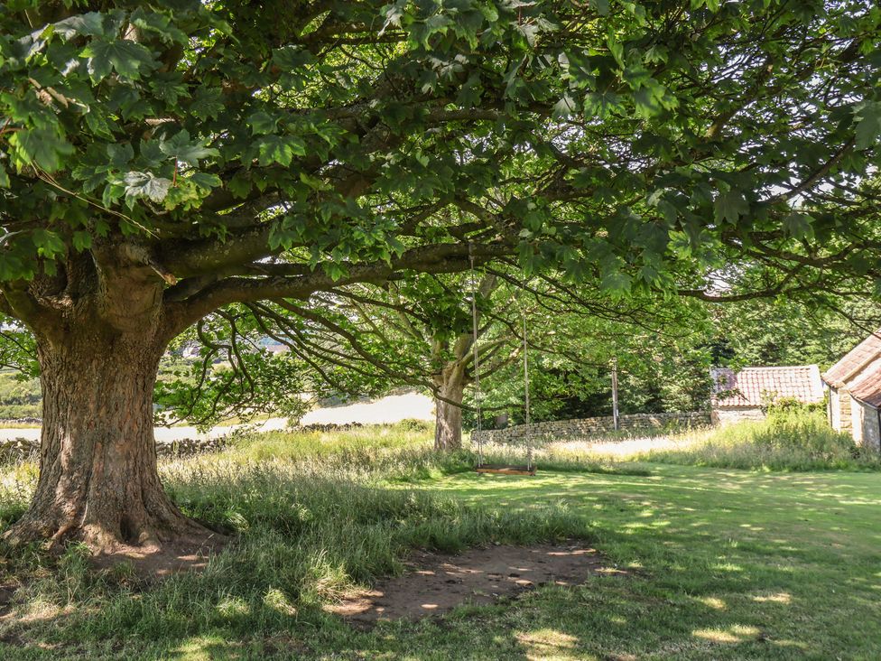 A garden with a tree and swing at 4 Lilac Cottages Ainthorpe