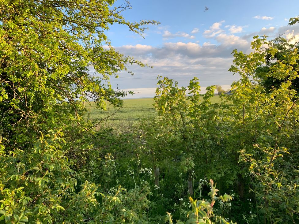 A view of a grassy field with trees at Cosy Escape in Sheerness