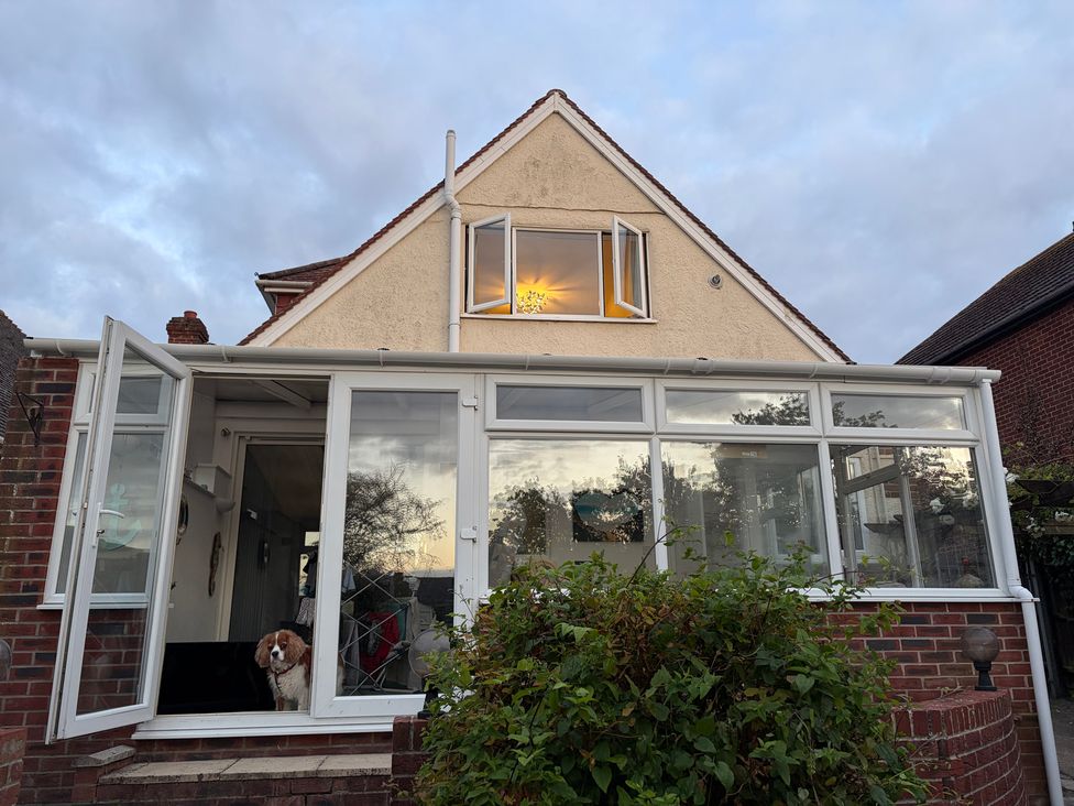 A conservatory with a dog at Tudor Rose in Weymouth
