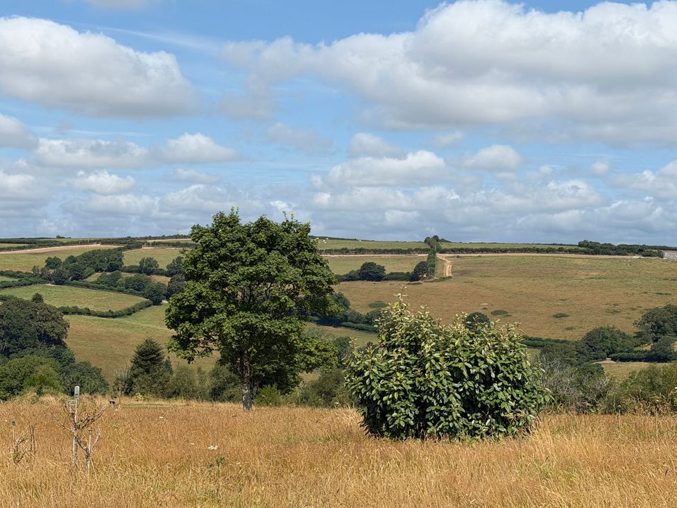 A landscape with a tree and bushes in a field at Moorland View in Dobwalls