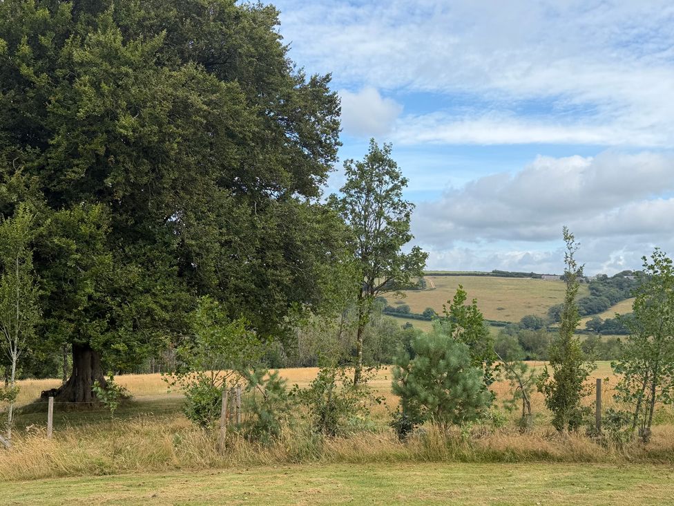 A landscape with trees and fields at Moorland View in Dobwalls