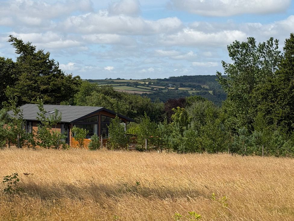 A house surrounded by grass and trees at Moorland View in Dobwalls