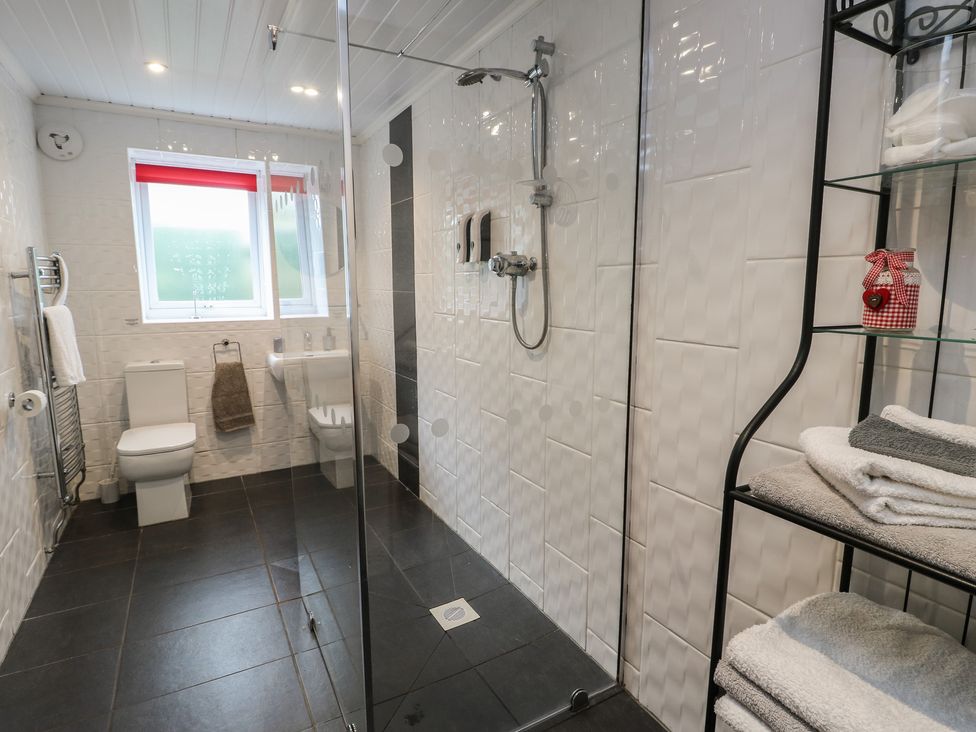 A bathroom with a shower, toilet, and sink at Ty Llyn in Brynteg near Benllech
