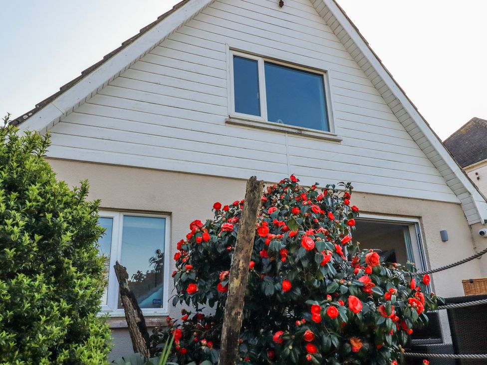 A house with windows and shrubs at 3A Grannys Lane Perranporth