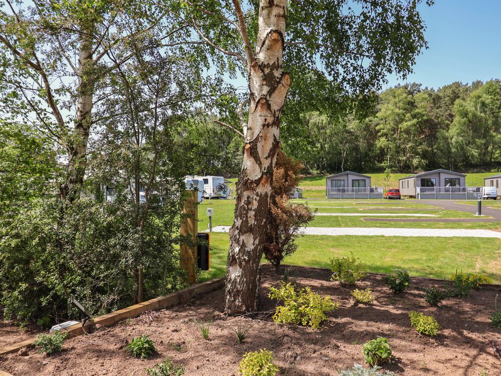 Outdoor area with trees and caravans at Cedar Lodge 3 Bedrooms with hot tub Delamere