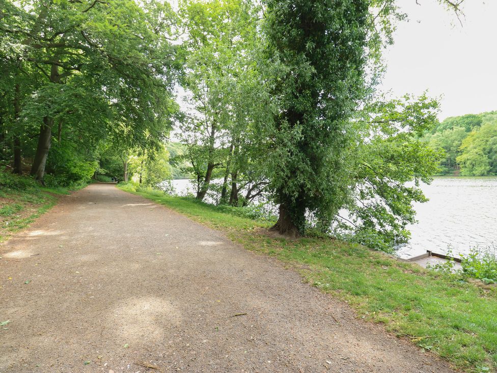A pathway by a lake surrounded by trees at Lake side cottage