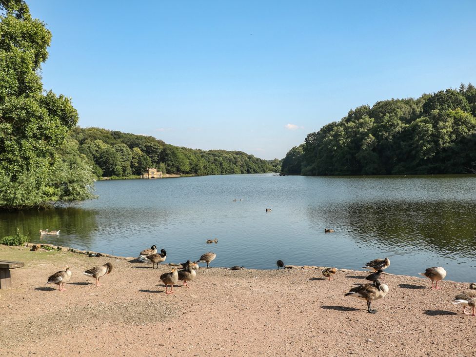 A lake with ducks and trees at Lake Side Cottage in Wakefield