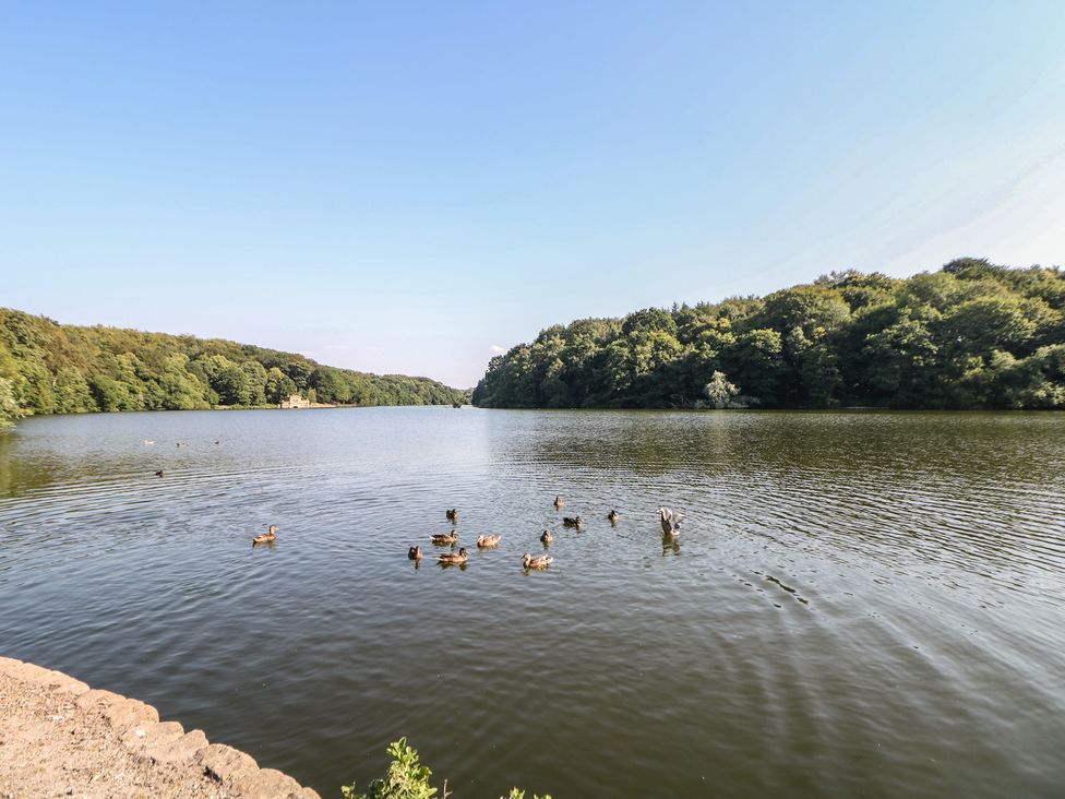 A lake with ducks and trees around it at Lake Side Cottage in Wakefield