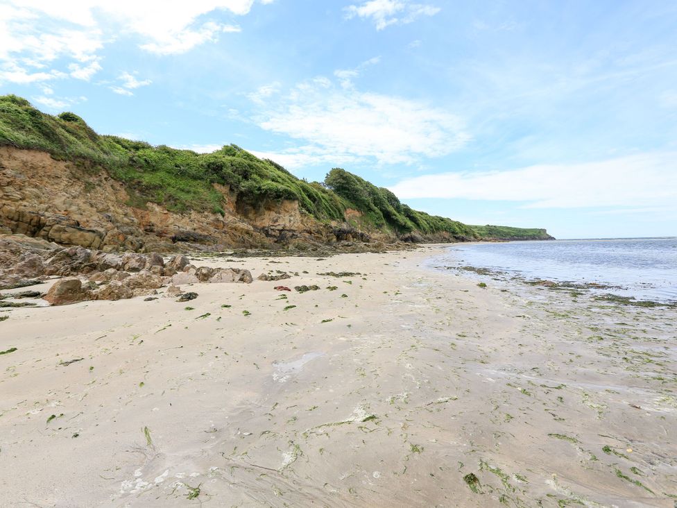 A beach with rocks and grass along the shoreline at Park Cottage in Kingsbridge