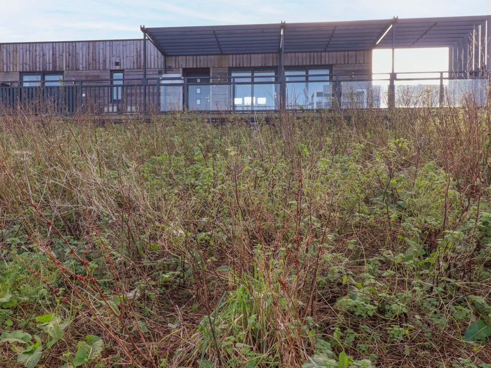 A building with windows and grass at 114 - The Residance, Redruth