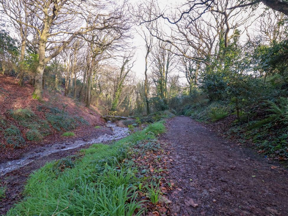 A path through trees with a stream at 114 - The Residance Redruth