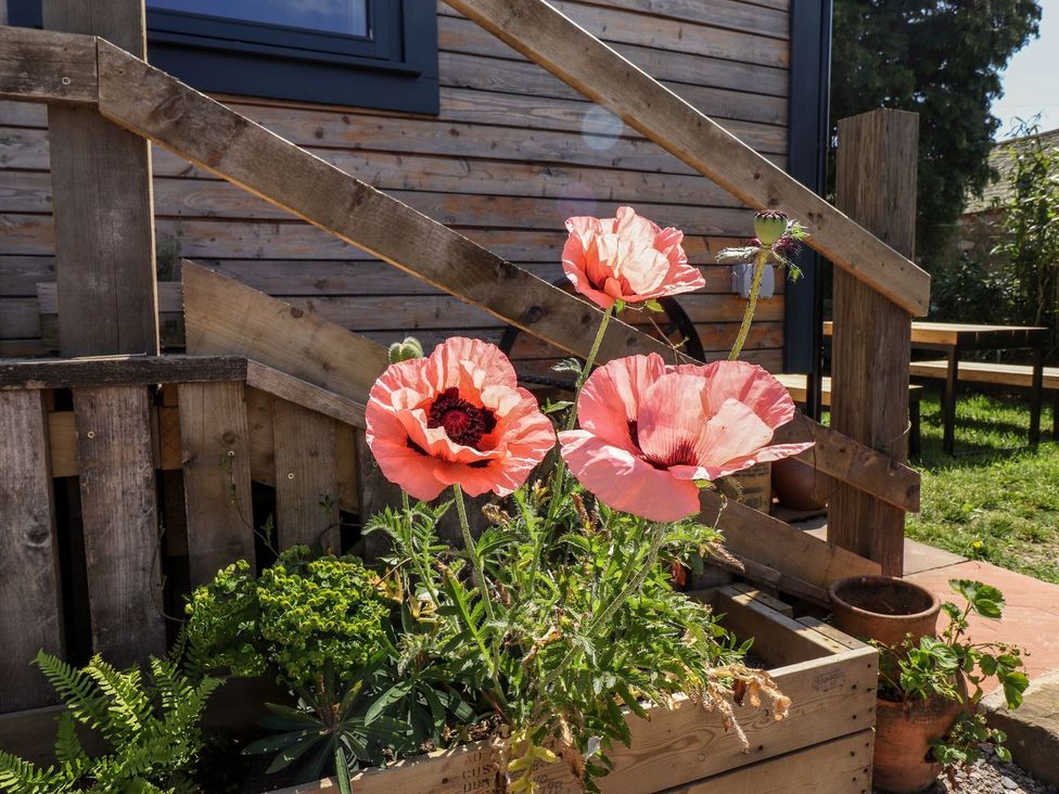 A garden with poppies and wooden stairs at Dunfell Shepherd's Hut in Appleby-In-Westmorland