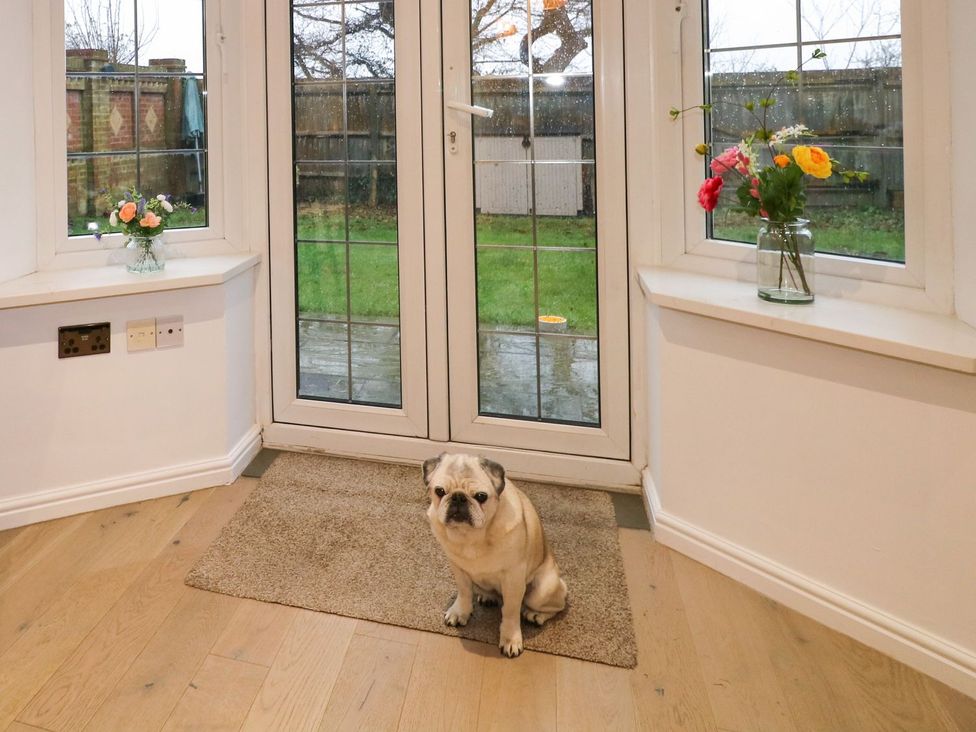 Number 5 - Kent & Sussex - 1194332 - thumbnail photo 9