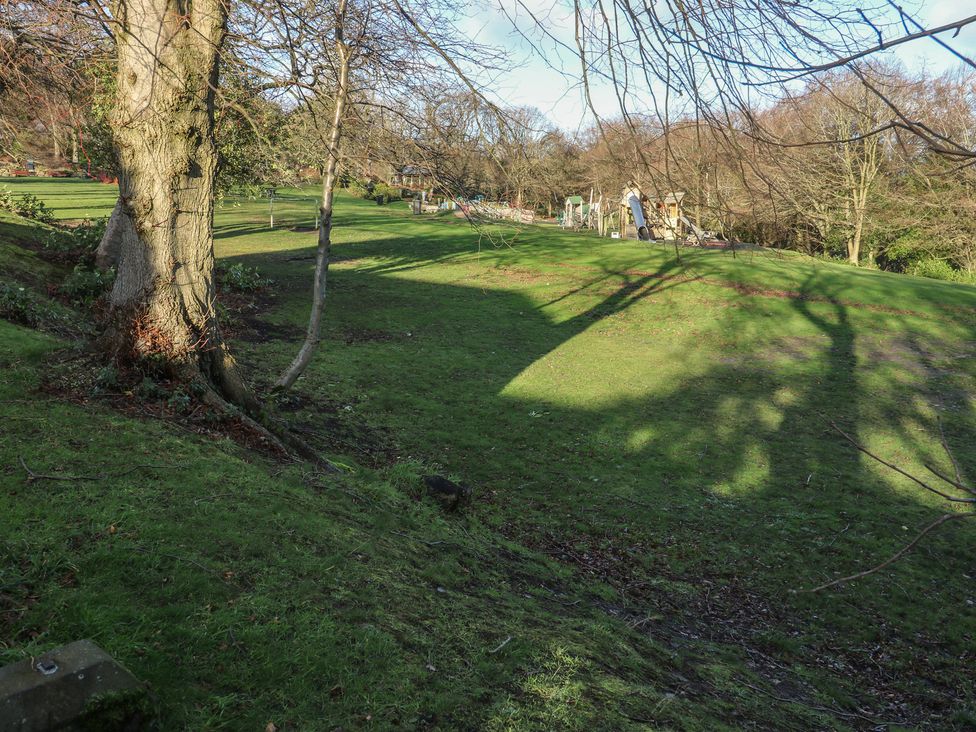 An outdoor area with a tree and playground equipment at The Luxury Shed in Huddersfield