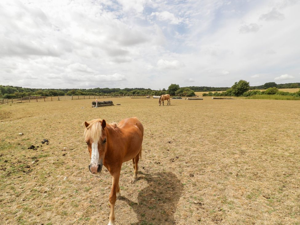 A horse in a field with hay bales and a fence at Cabin In The Woods Silverstone