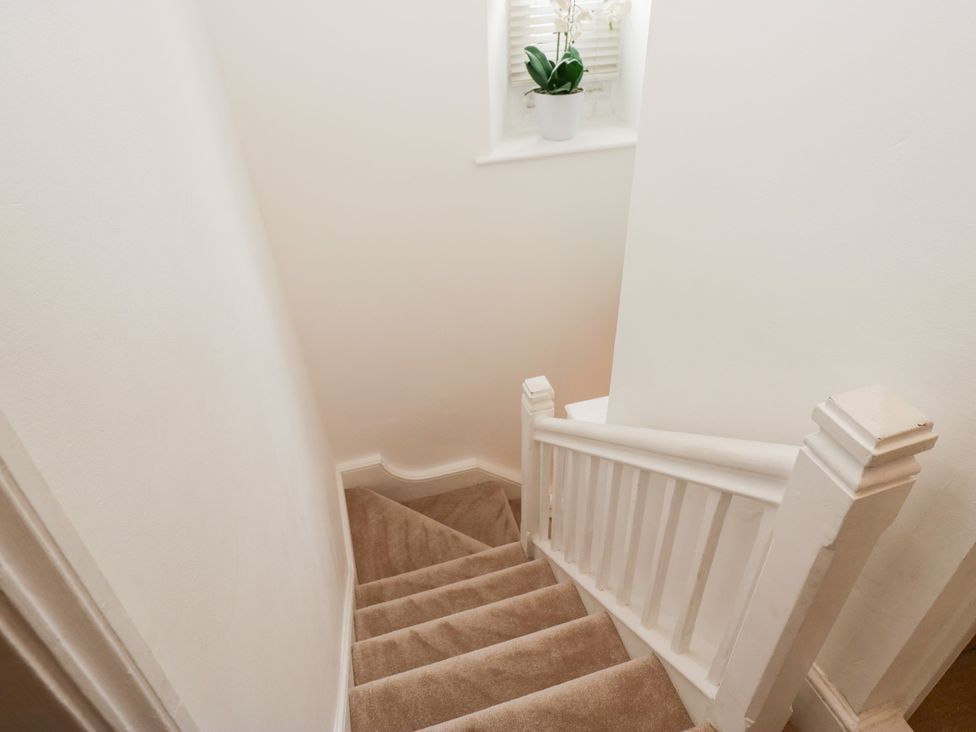 A staircase with carpet and a plant on a windowsill at No.2 The Flags, Grange-over-Sands