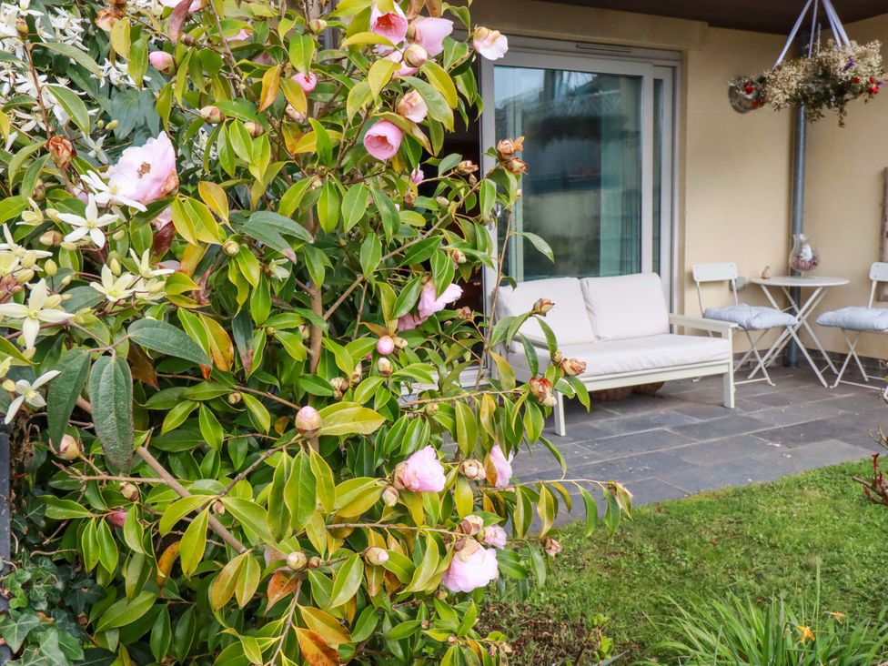 A garden with flowers and seating area at 2 Morweth View Torpoint