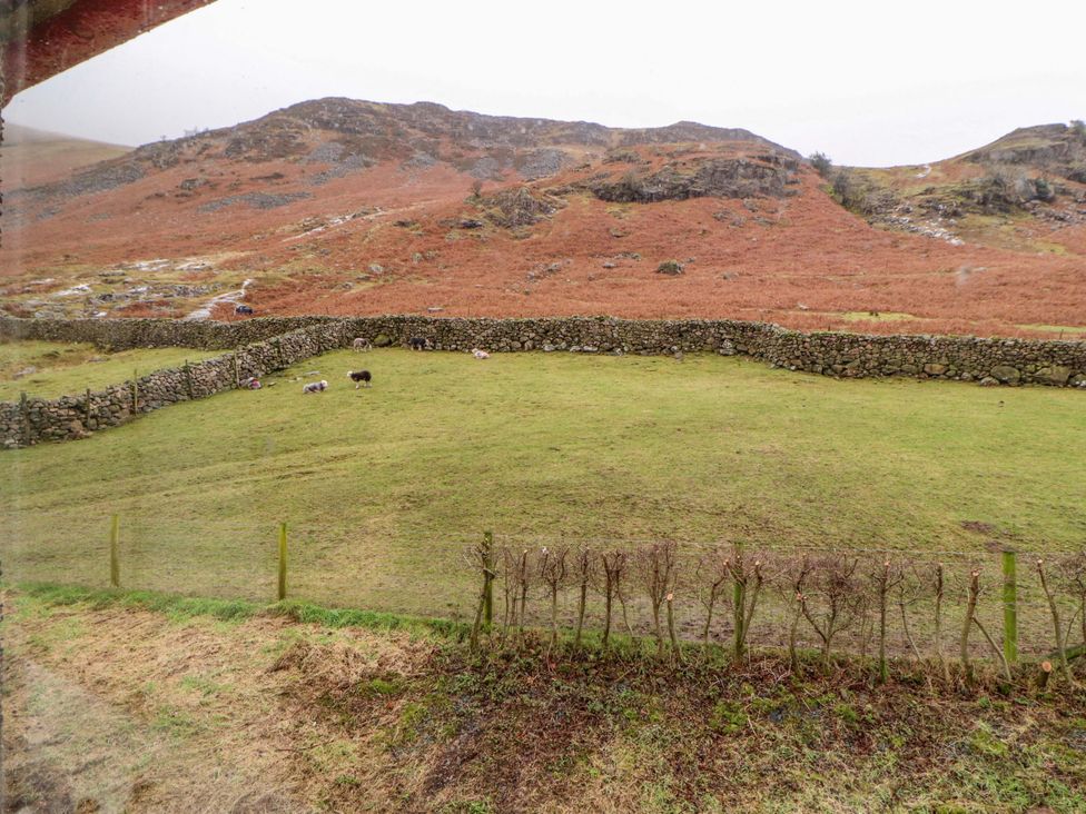 A grassy field with cows and a stone wall at Easthwaite Cottage in Holmrook near Easthwaite Farm