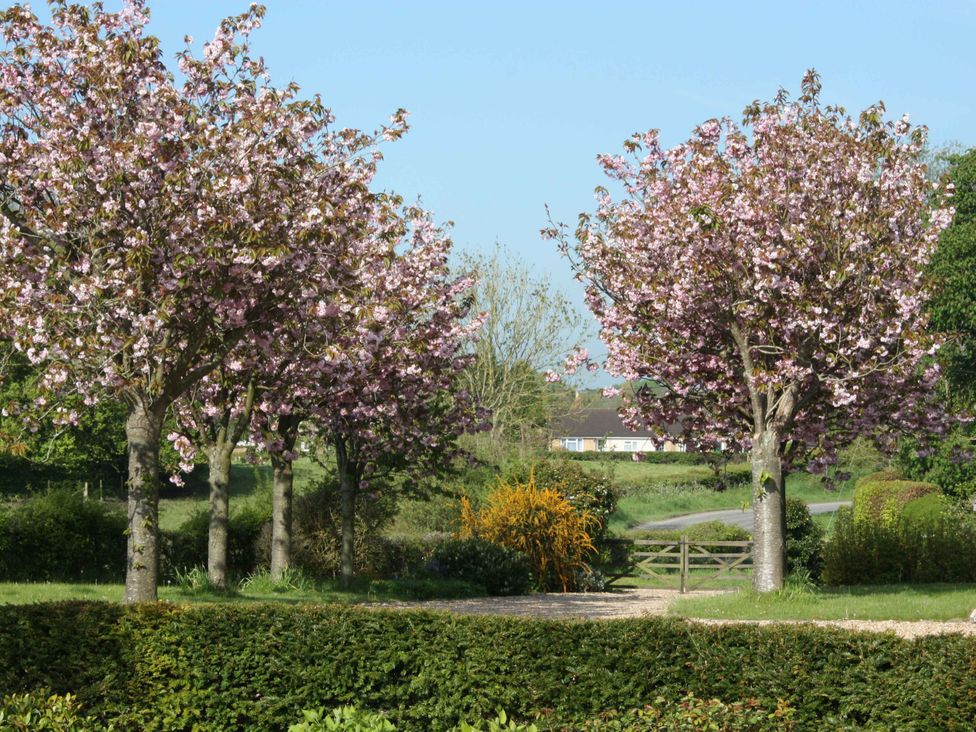 New Barn - Somerset & Wiltshire - 1194391 - thumbnail photo 12