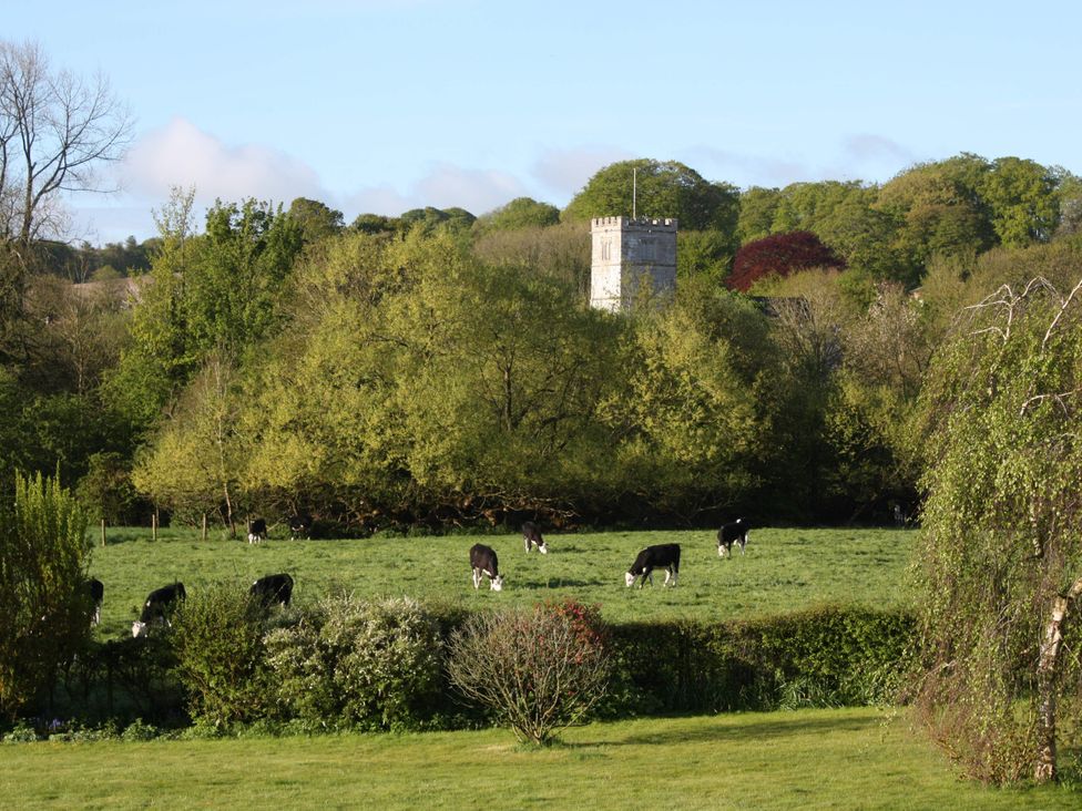 A view of cows grazing in a field near a church tower at New Barn in Broad Chalke