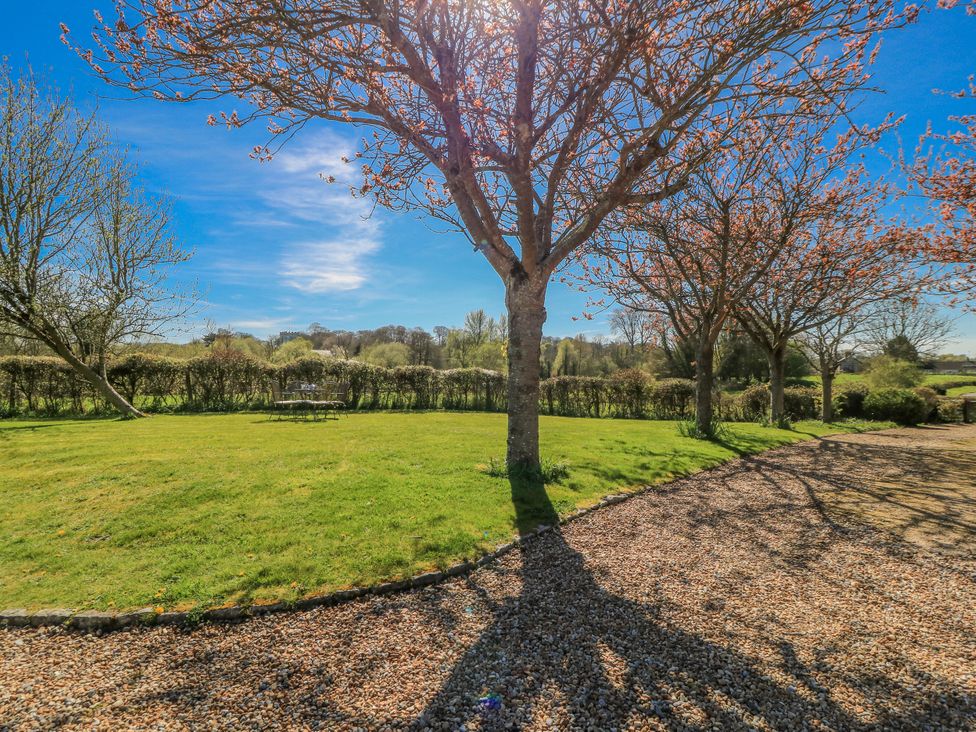 A garden with trees and gravel path at New Barn in Broad Chalke