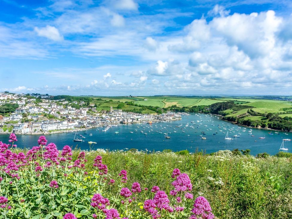 A coastal view with boats and houses in Salcombe