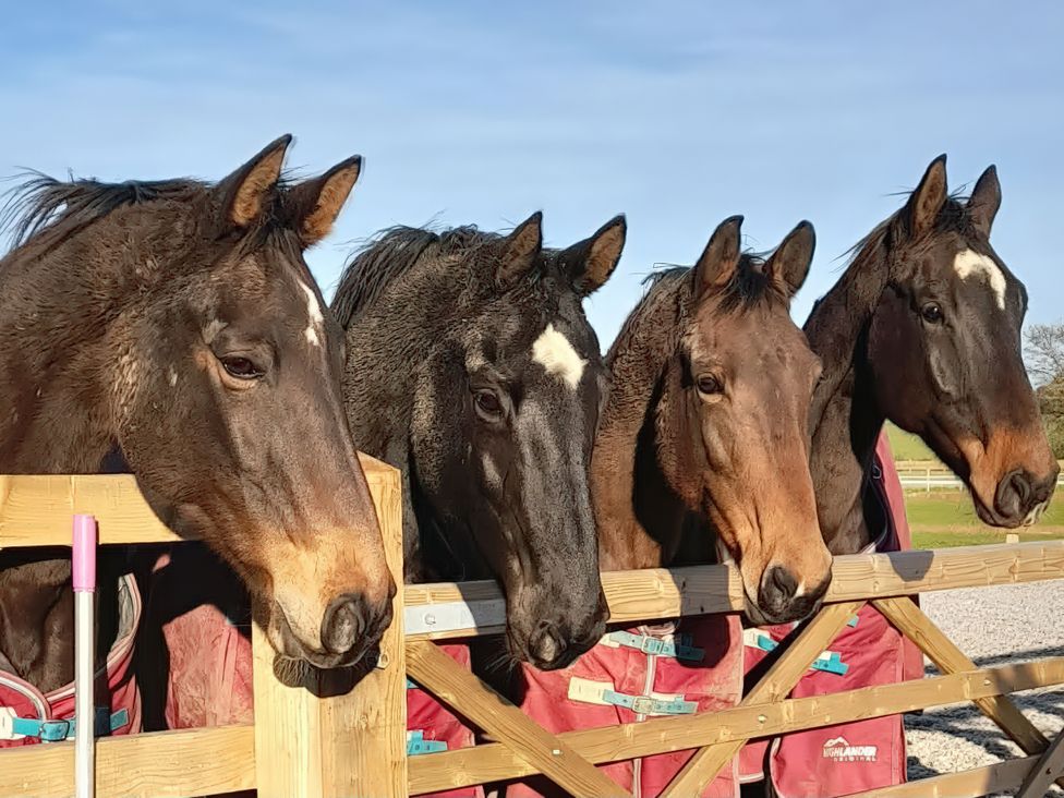 Driftway Stables Retreat - Norfolk - 1194424 - thumbnail photo 2