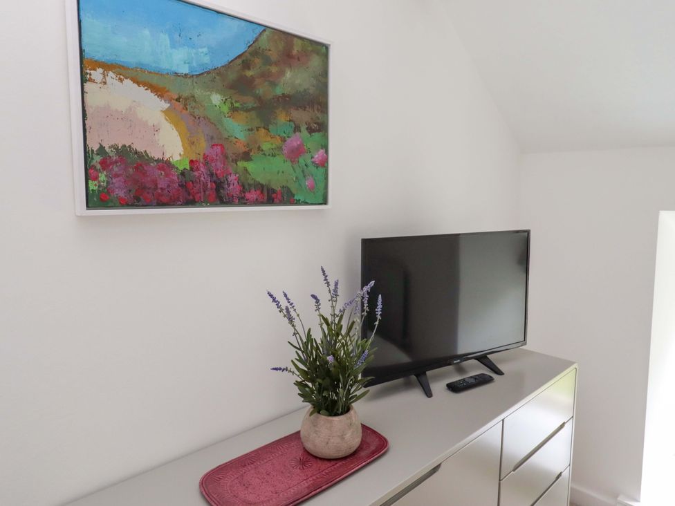 A television on a dresser with a plant and painting at Snowdrop Cottage near Warkworth