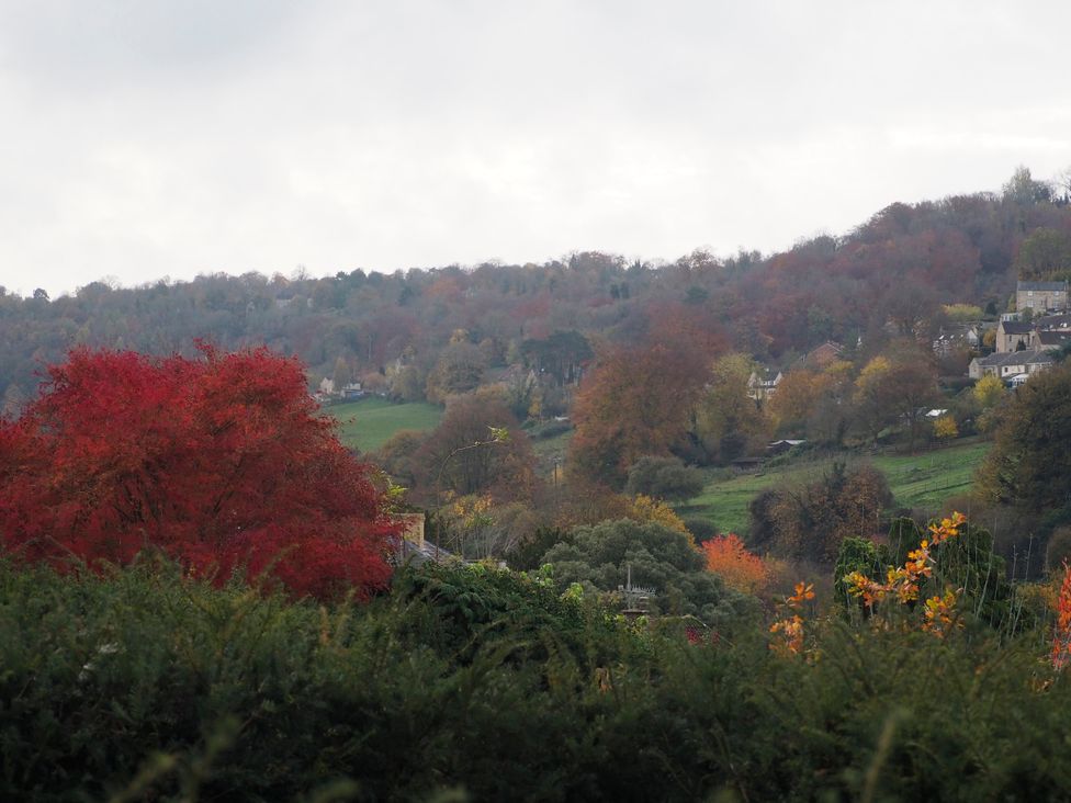A view of trees and hills with houses at Golden Valley View, Stroud