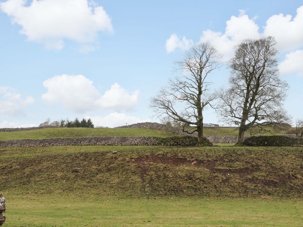 A landscape with trees and stone walls at Kirk Yett in Skipton