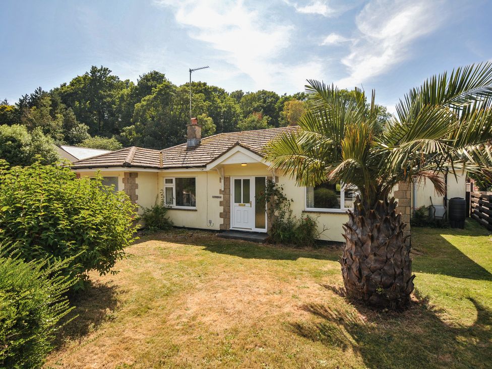 Jazmine - Cornwall - 1194499 - thumbnail photo 1