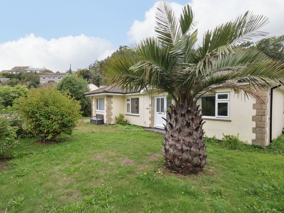 A house surrounded by grass and a palm tree at Jazmine in Seaton