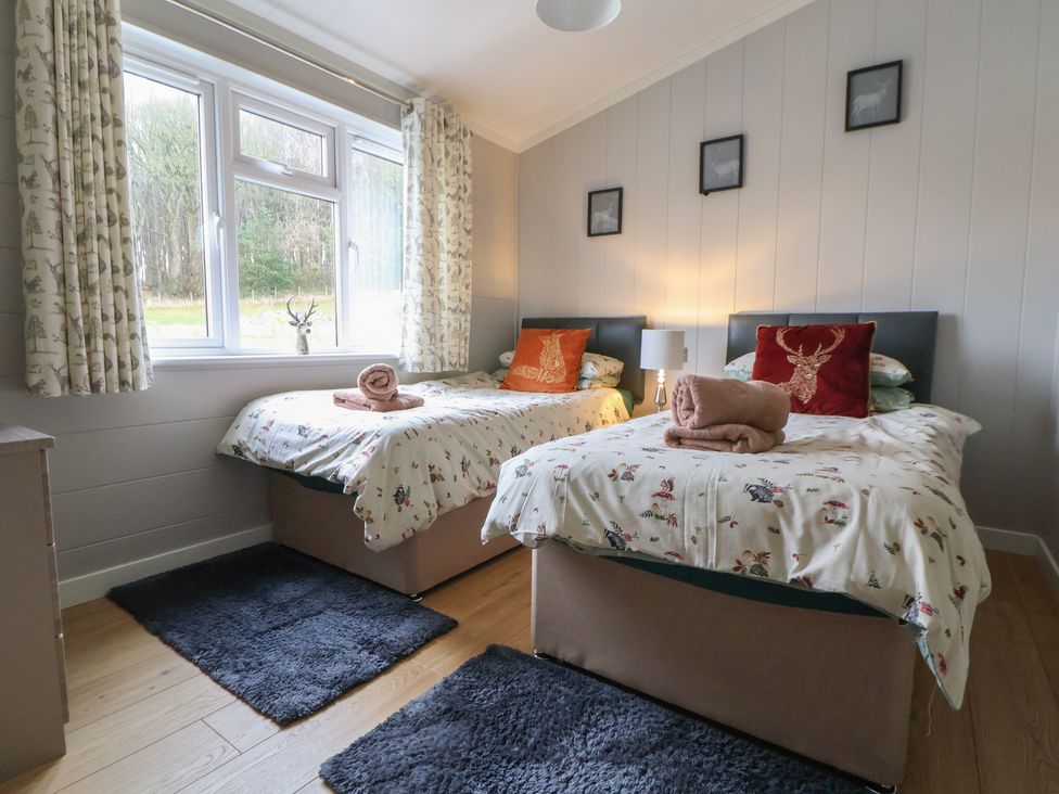 A bedroom with twin beds and a bedside lamp at Holly Lodge in Lloc near Caerwys